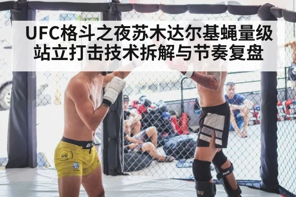 UFC格斗之夜苏木达尔基蝇量级站立打击技术拆解与节奏复盘